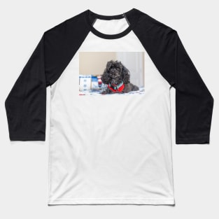 Lap Dog Baseball T-Shirt